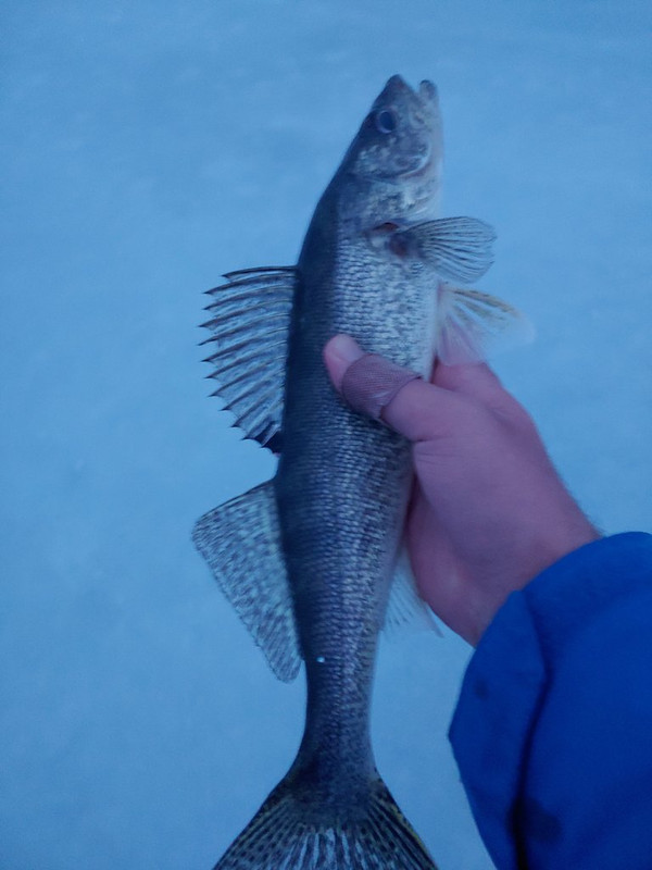 IMG_20210228_181000_01