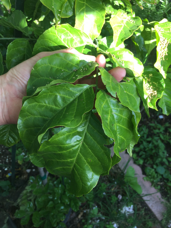 73AABCA6-17B8-47DC-BA90-FF1C129A6FF6