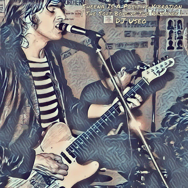 djuseo-sheena-vibration