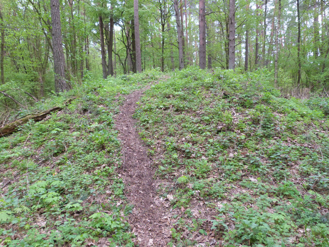 13.06 - P1110049 (Yvonne)