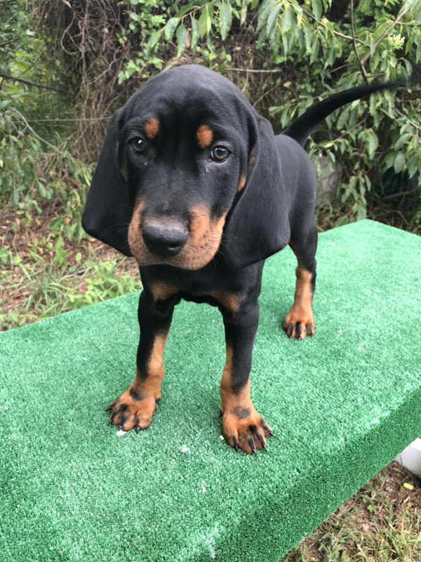 689F5BBF-E0CB-42EF-BA38-081373E9B8AF