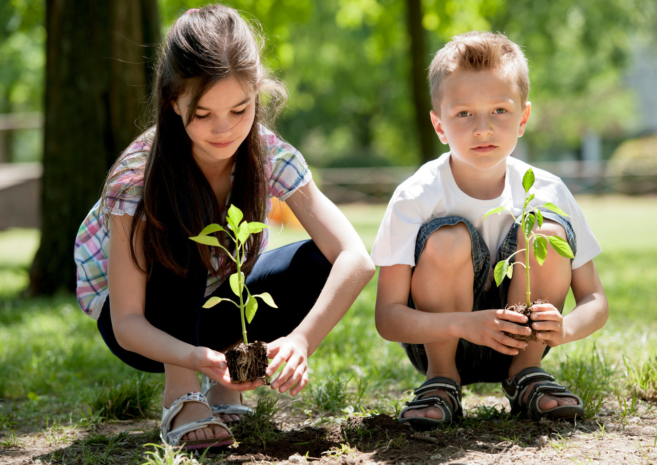 Діти садять дерева