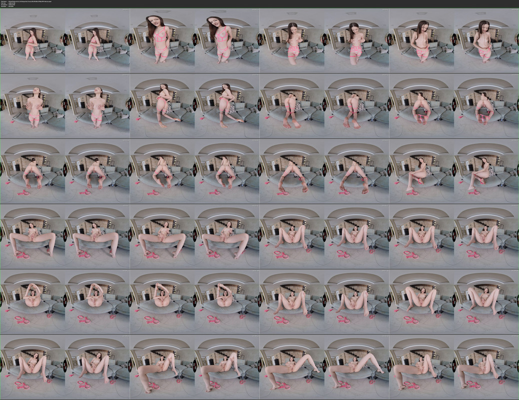 14112024205303screenshot