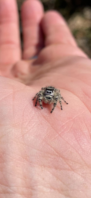 F172A55E-8DB5-42EF-96D5-17B7BBAA51A6