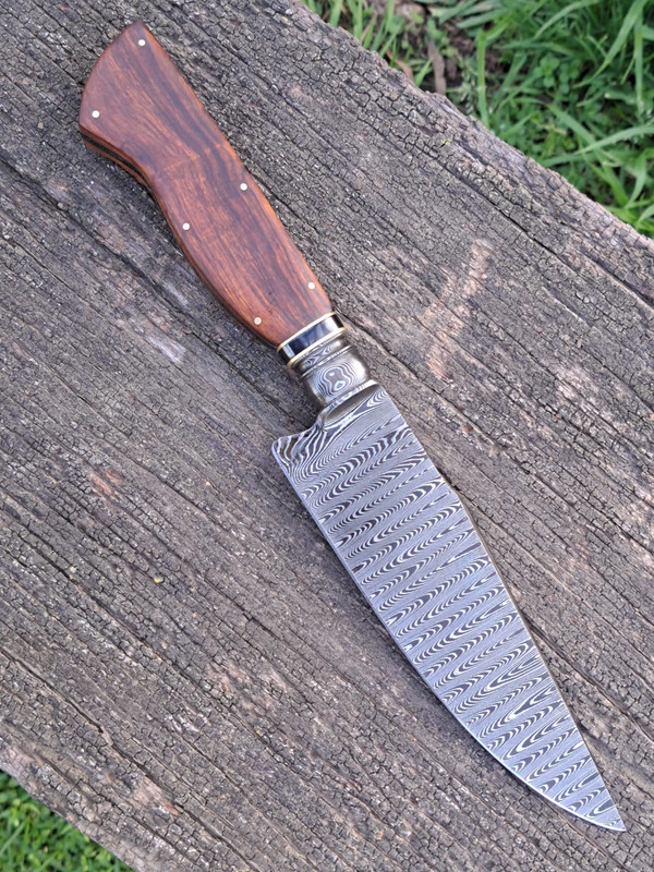 WhatsApp Image 2023-07-28 at 20.43.36 (1)