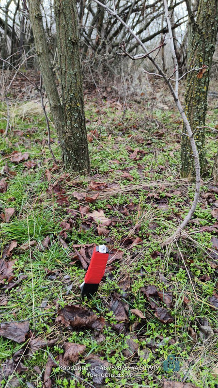 photo 33 2025 12 07 11 19 01