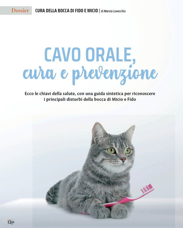 QuattroZampe Feb 2023 (3)