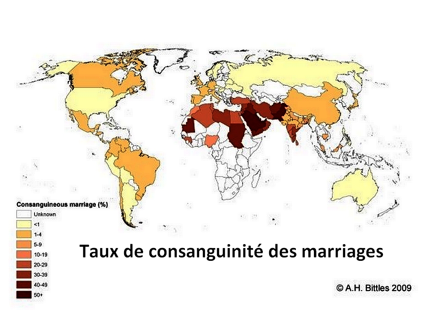 Carte Enrichissement  (23)