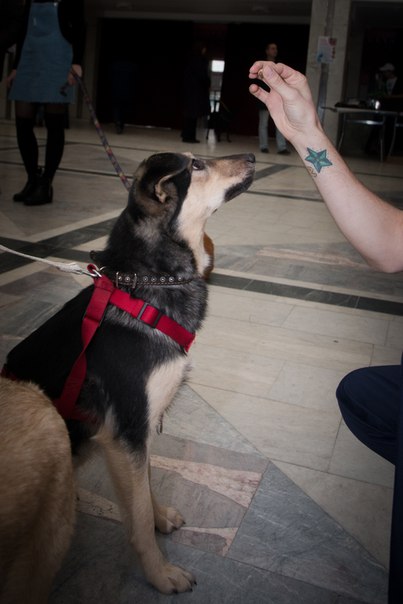 D60E6FBB-4D2A-4409-A8F1-F9484DDB4BB8