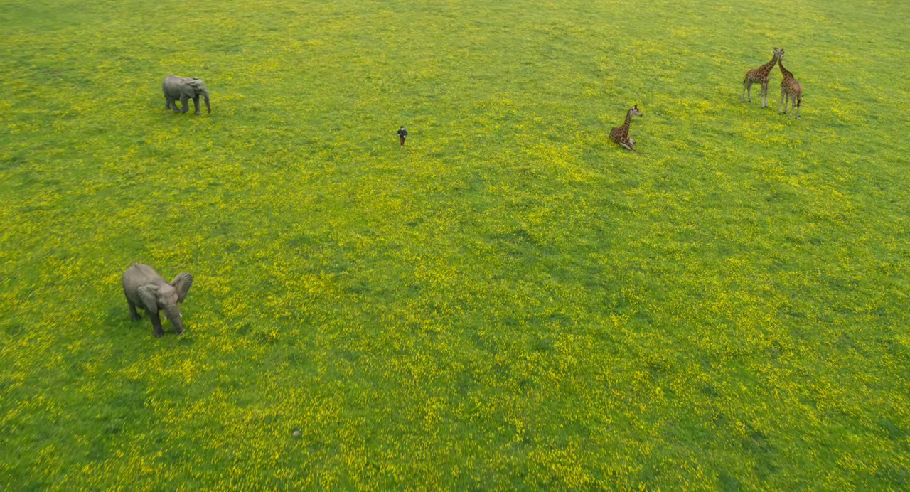 300mbunited.me--00003