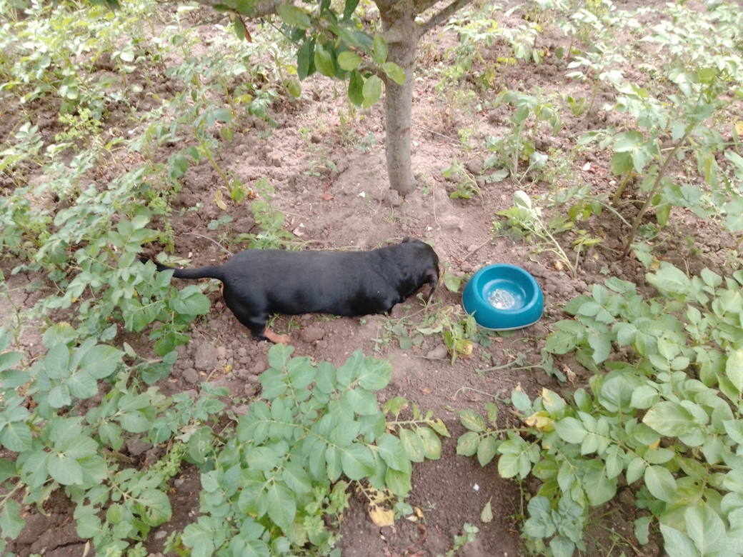 [Image: Poupette.jpg]