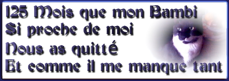 125-mois-bambi