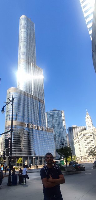 Caminando por Chicago: Esculturas, the Bean, lugares de películas y Torre Willis - Boston y Chicago (48)