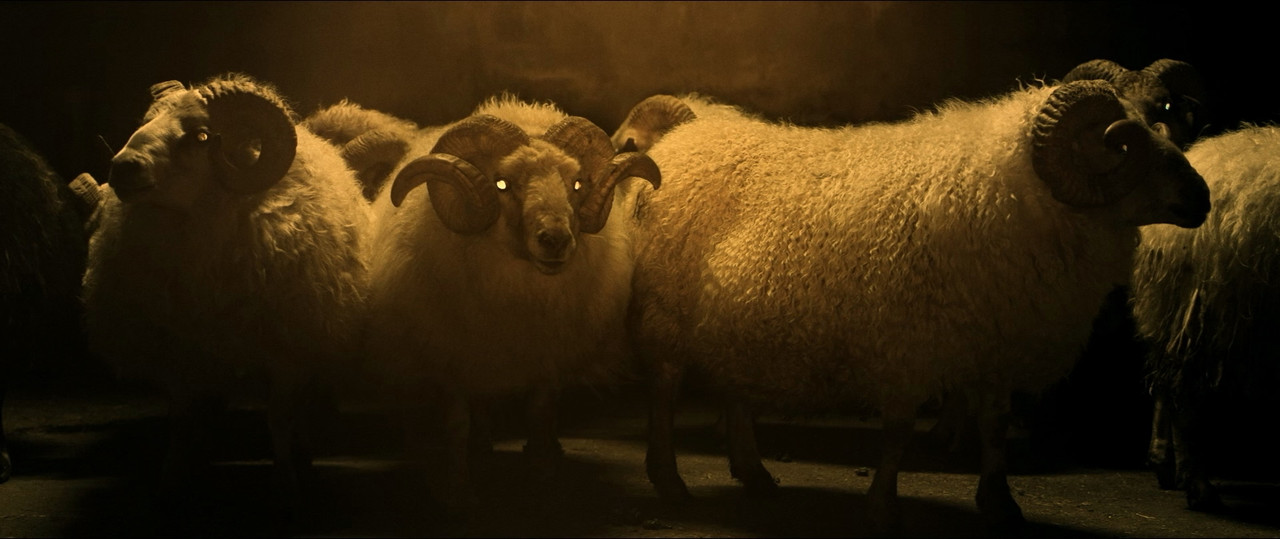 Lamb (2021).mkv_004456.750