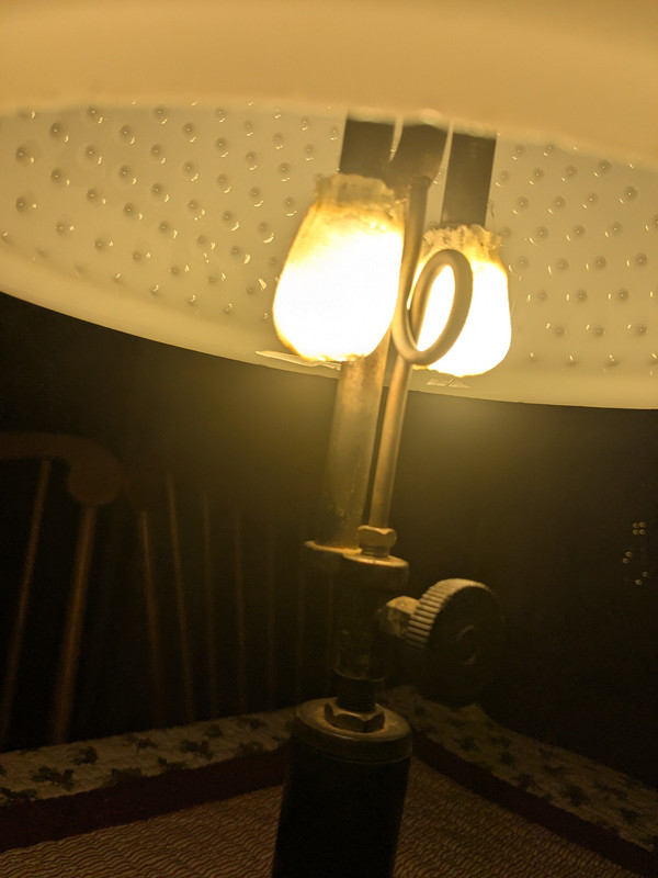 PXL 20251117 002659723 Original