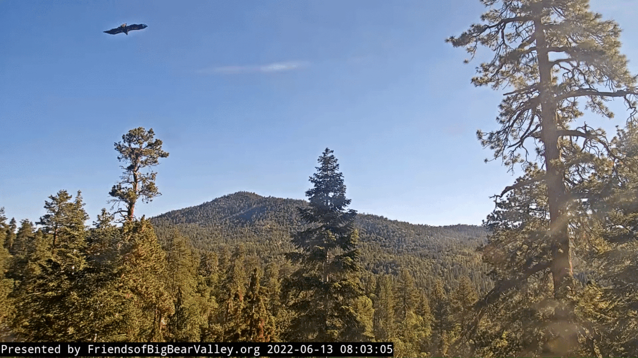 Webp.net-gifmaker (9)