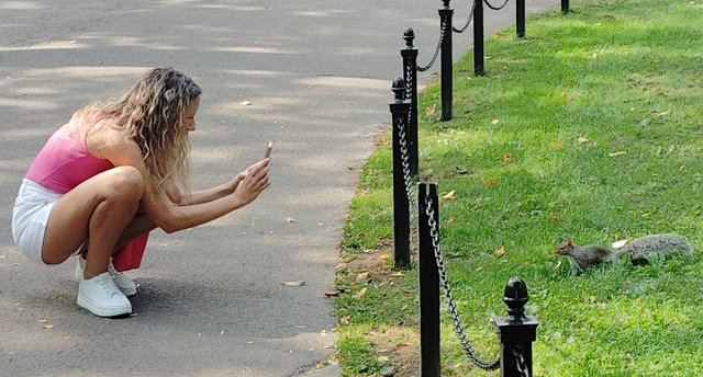 Pateamos Boston: Freedom Trail, Cheers, Mercadillos etc - Boston y Chicago (83)