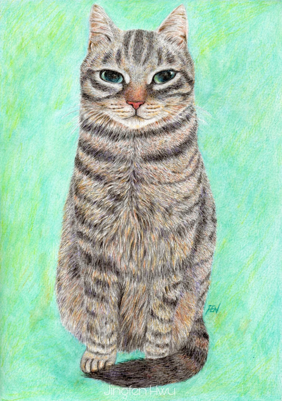 09