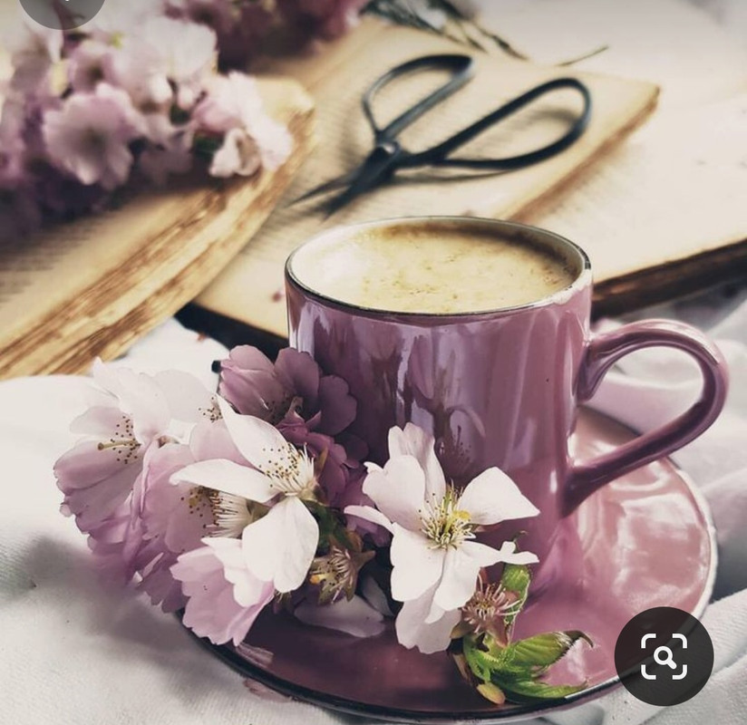 Screenshot_20230830_224342_Pinterest