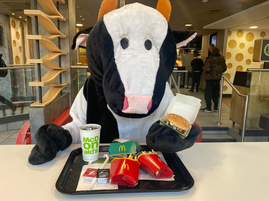 McDonald's está probando su hamburguesa McPlant en estas ciudades