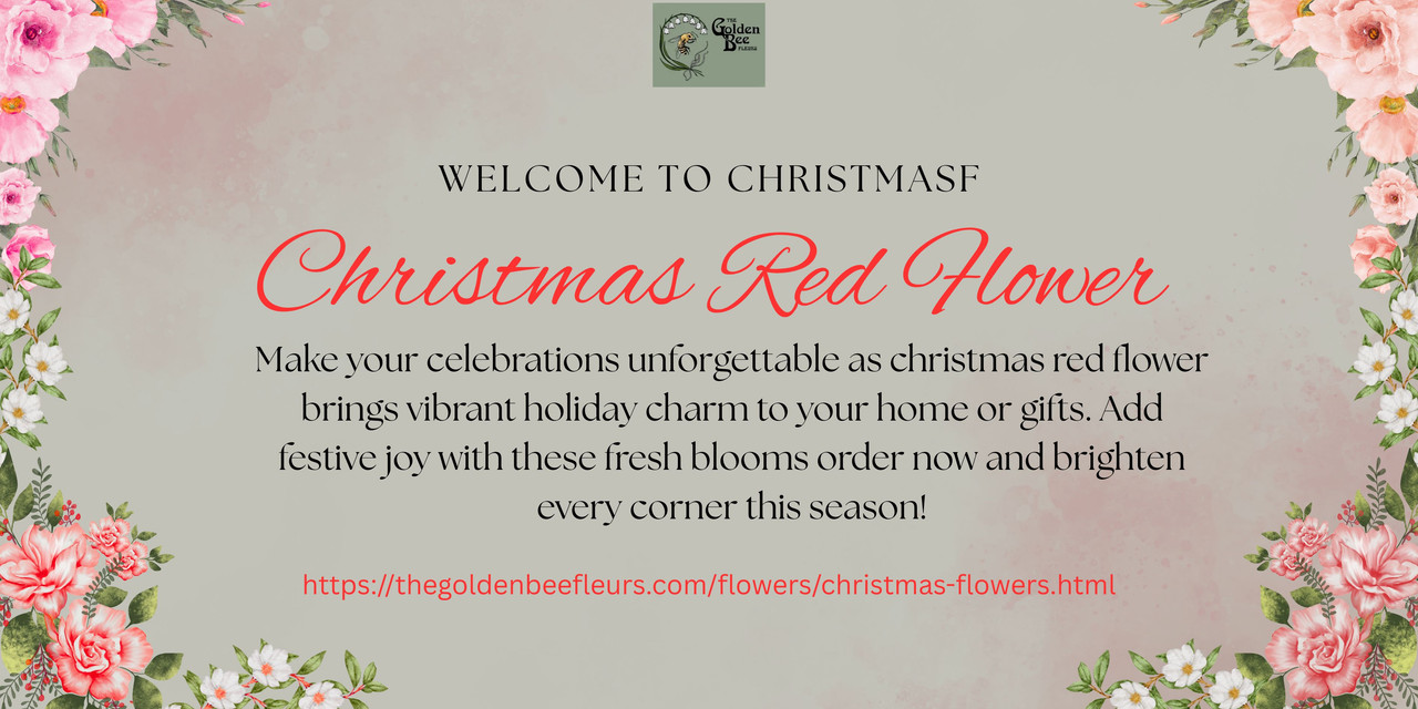 Christmas Red Flower​ Visit as: https://thegoldenbeefleurs.com/flowers/christmas-flowers.html