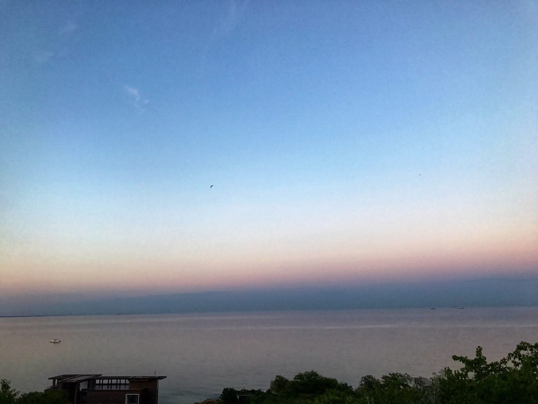 photo5348136695259834626