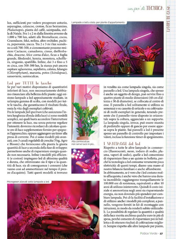 Pol Ver Ott 2022 (6)