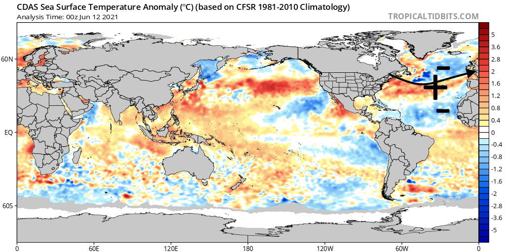 cdas-sflux-ssta-global-1.png