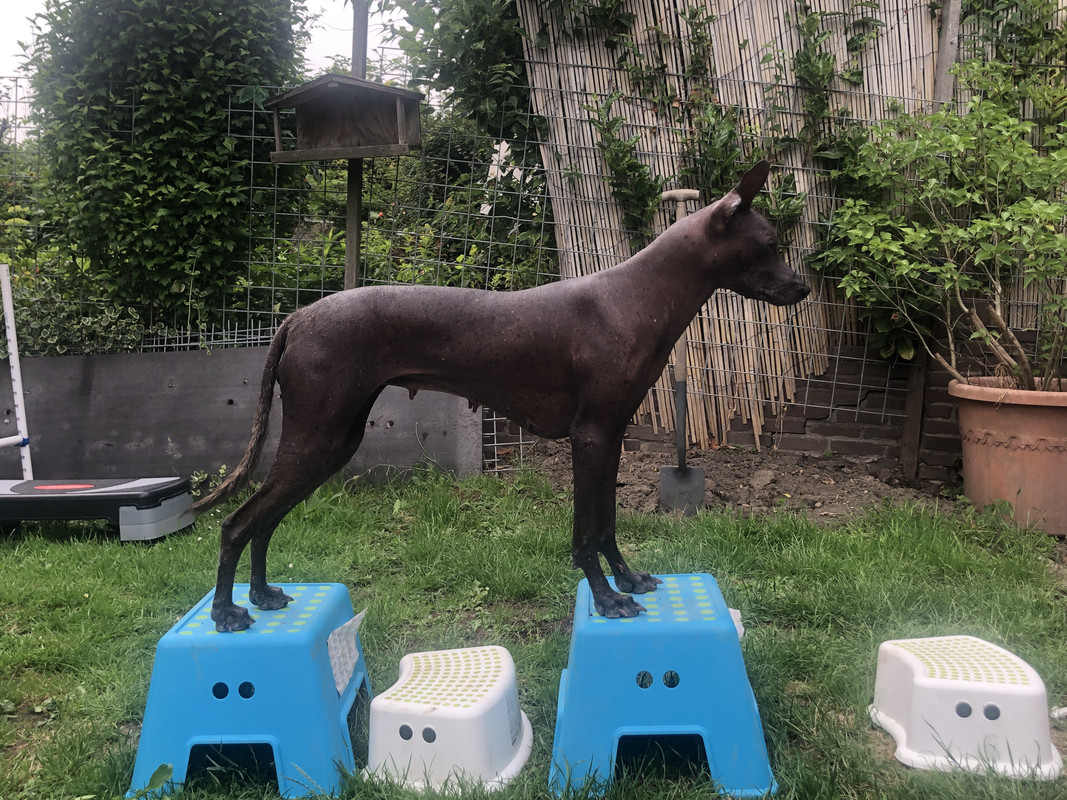 4A3F50E0-09E6-4AFA-904B-526EA07212CE