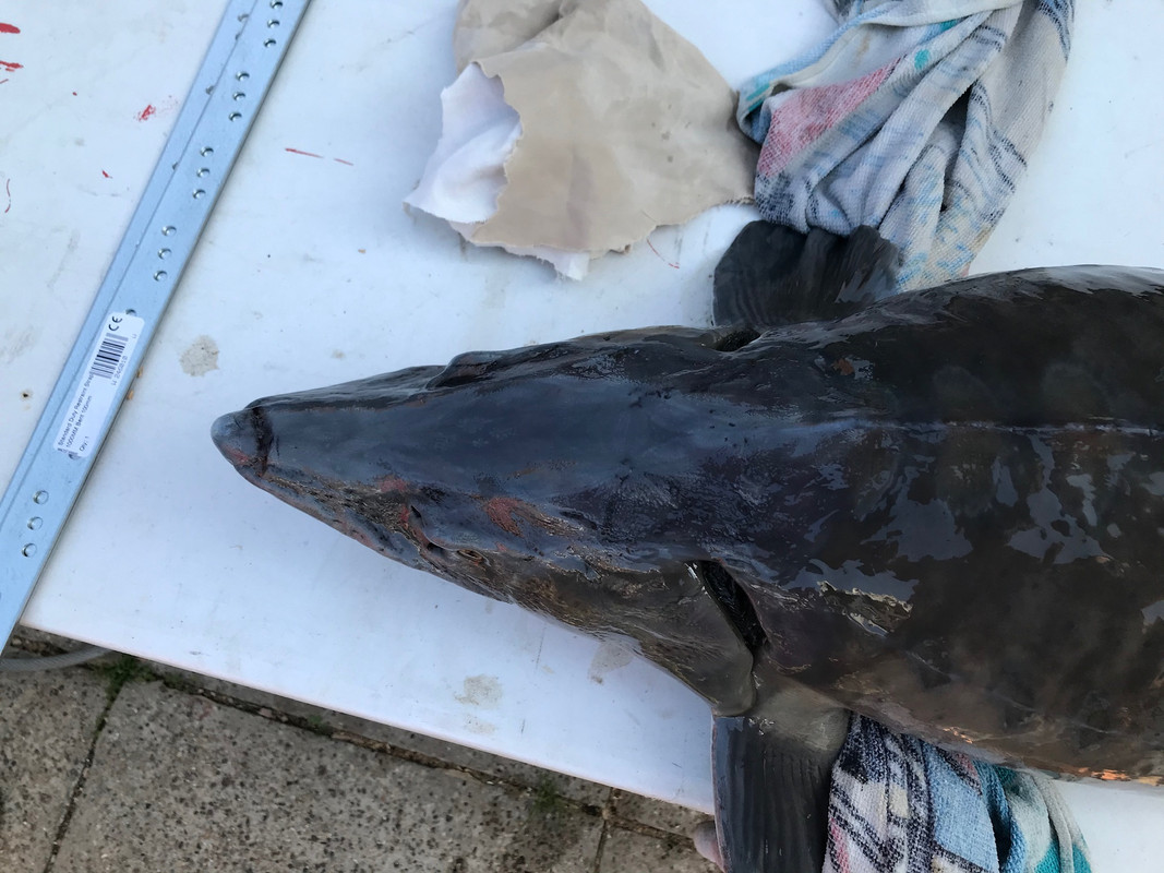 557527E3-CE1E-49E6-A398-6E3B809180B6