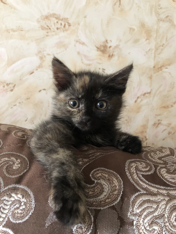 9B48D02C-0115-4B1C-97FC-19BB0761E8BB