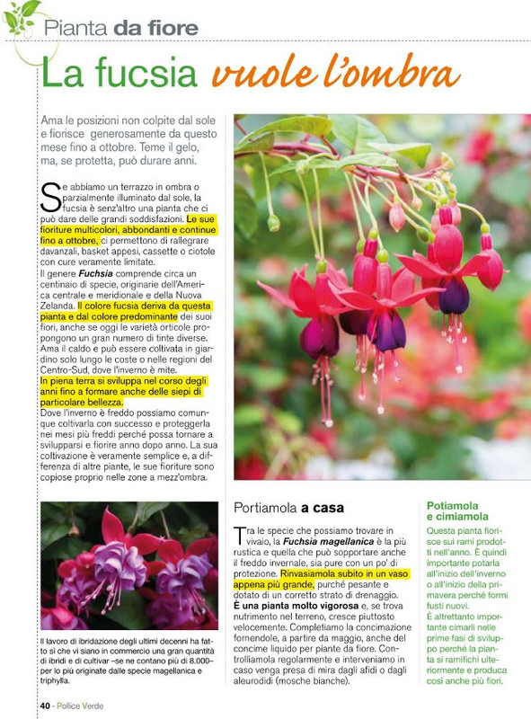 Pol Ver Mag 2020 (7)