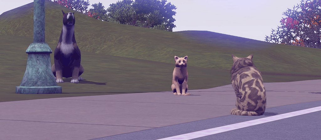 TS3W_2025-01-13_01-50-49.jpg