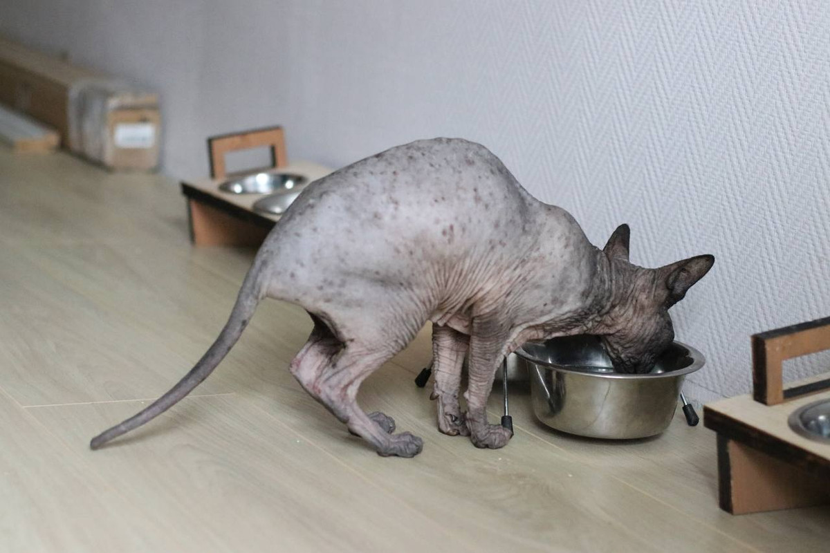 CD032D82-82BB-49B6-89E1-411E07D9620F