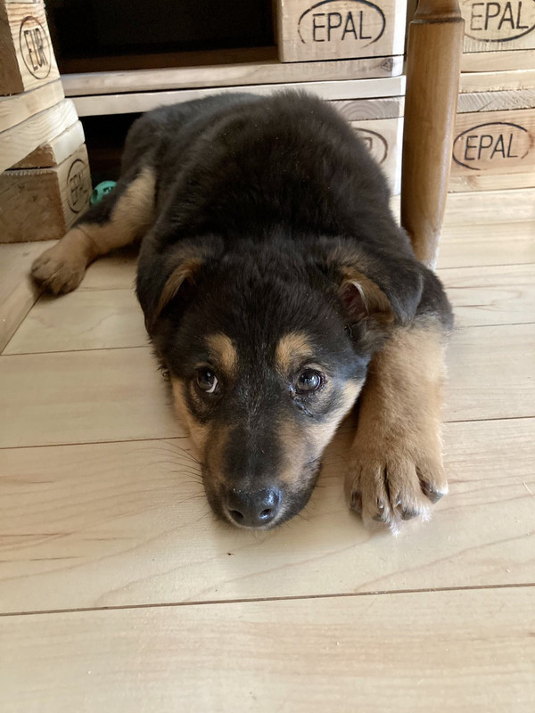 1изображение_viber_2021-01-18_14-00-10