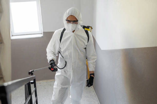 Tampa pest control