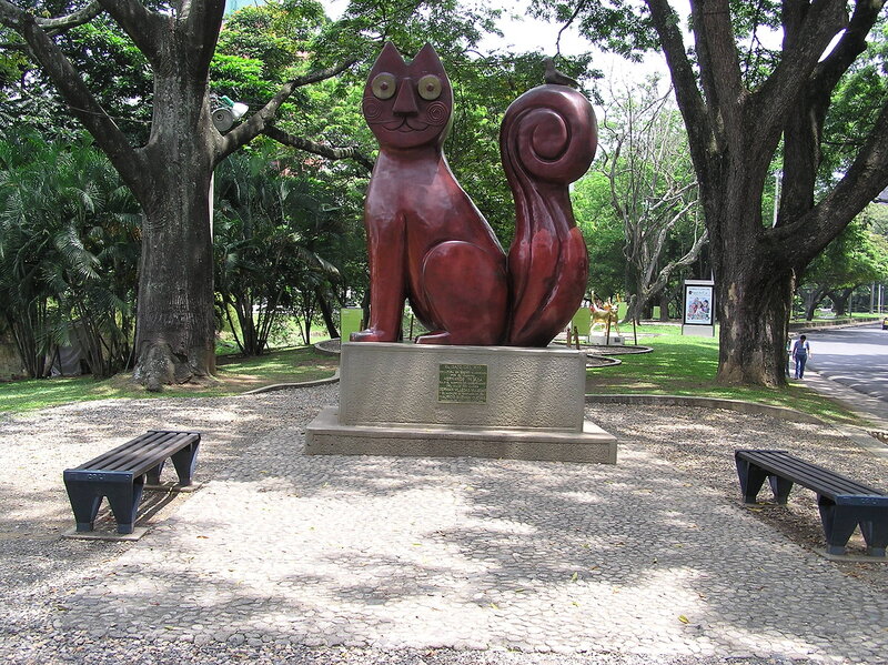 Gato-de-Tejada-Cali