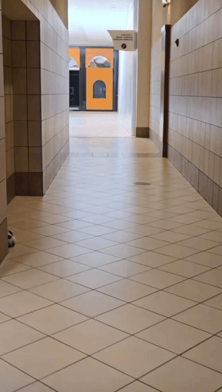 IMG-5804.gif