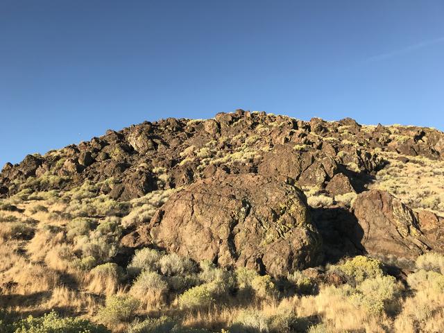 [Image: D10_D0627-5_BB6-4817-84_E2-_E9_AB26_BD7_F7_B.jpg]