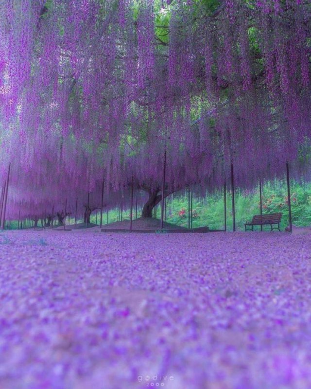 Awesome-3