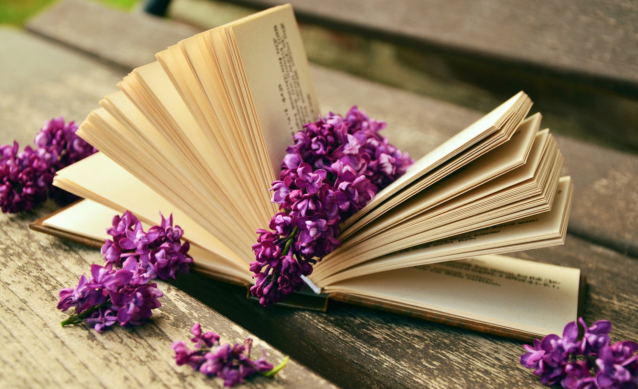 magenta-flowers-book.jpg