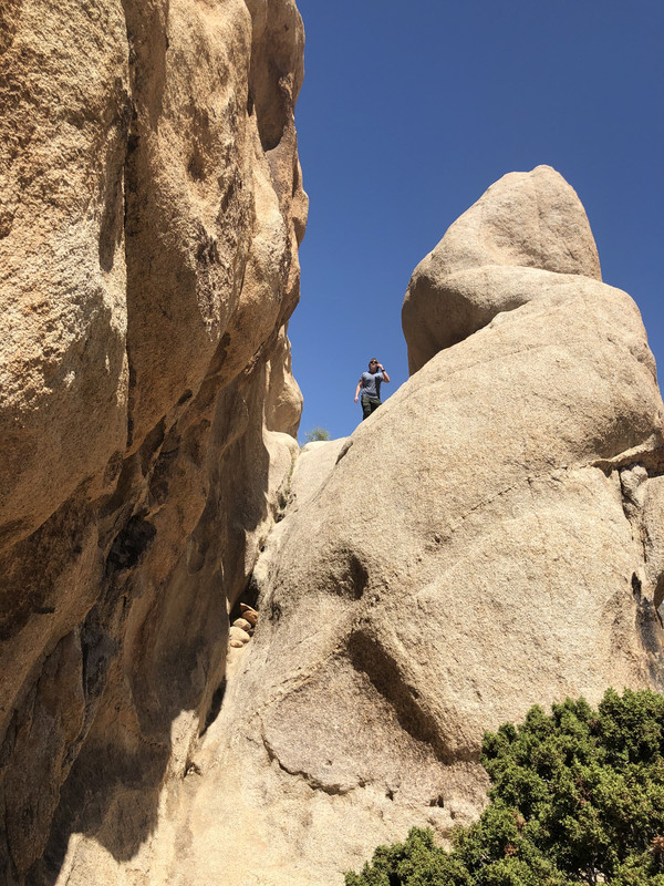 AED97E1C-0373-4268-A2EC-631D9C60A1C0