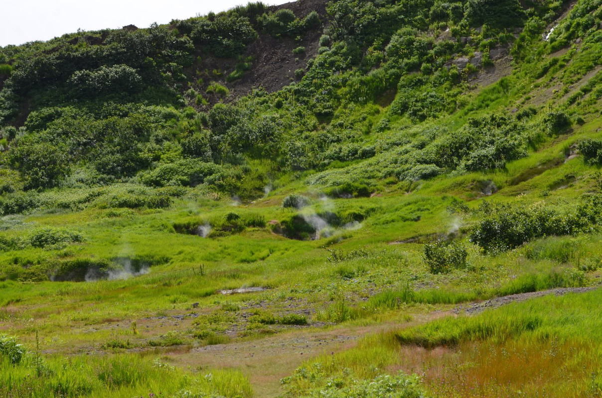 DSC-6548.jpg