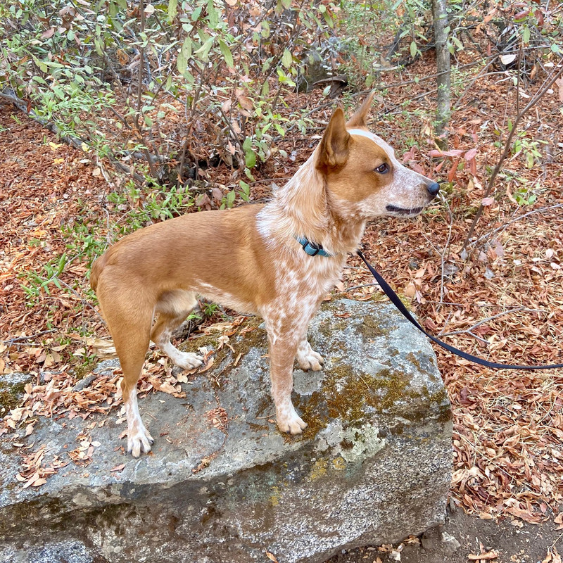 88D47A77-AAA2-44AA-AAF4-D7E4D766AF16