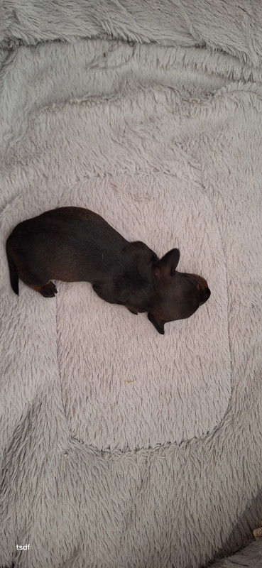 [Image: 20250428-144047.jpg]