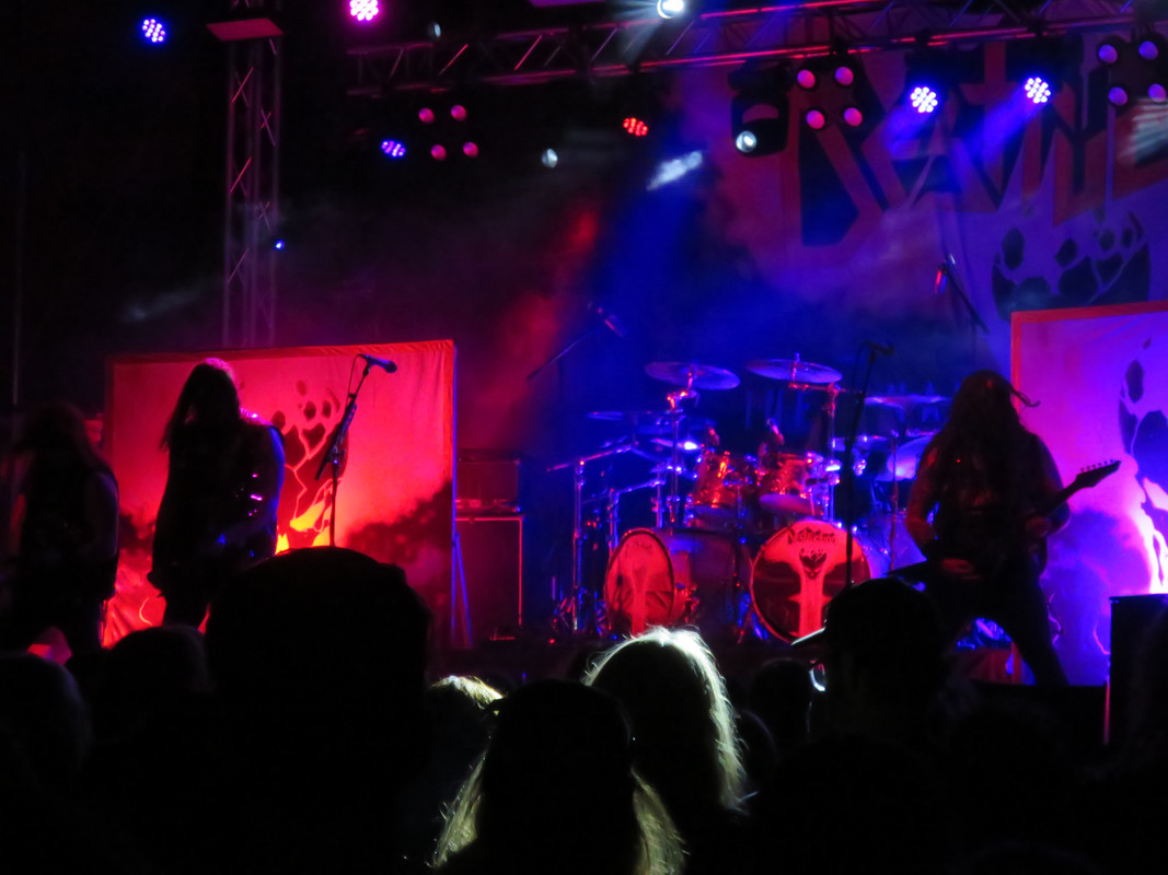IMG-6445.jpg