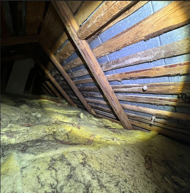 Näyttökuva 2025-03-24 182727