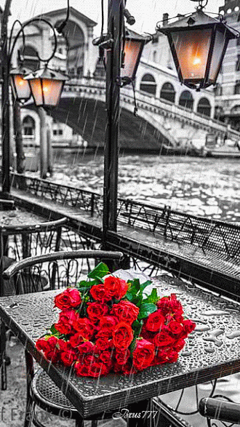 Venisepluieroserouge