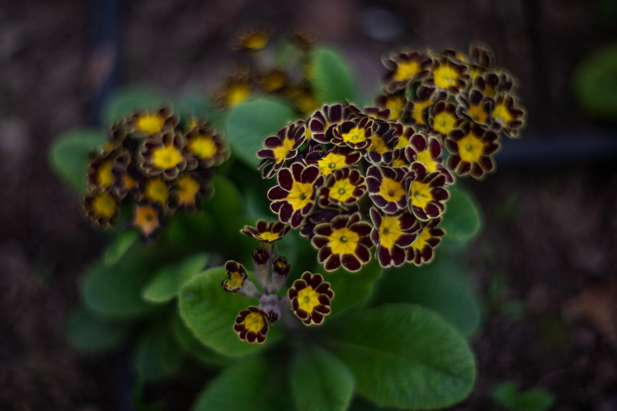 IMG-3dd7c0b3b2a4fcae575d94018637a807-V