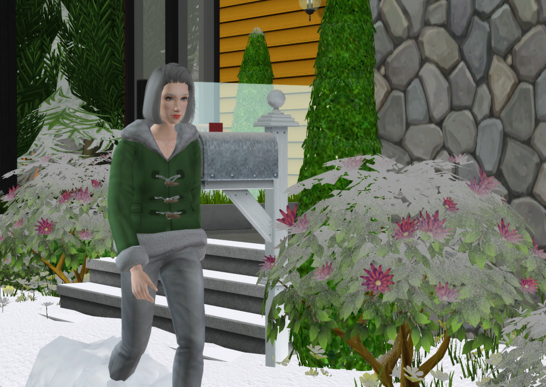 Sims2-EP9-RPC-2022-09-03-19-38-54-92